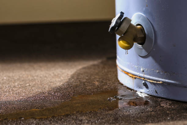  Brodhead, KY Water damage restoration Pros