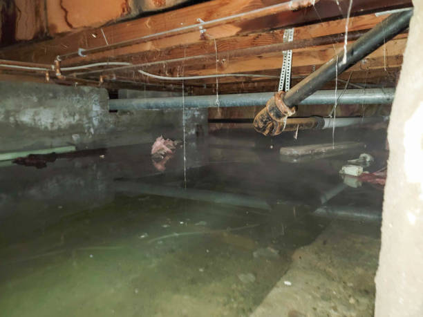 Professional Water damage restoration in KY
