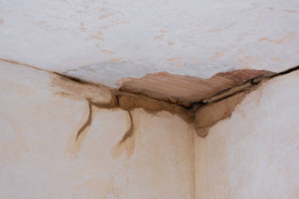 Best Local water damage restoration  in Brodhead, KY