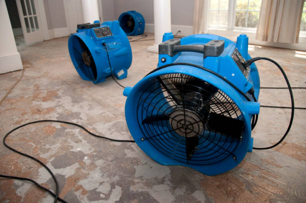 Best Flood restoration services  in Brodhead, KY