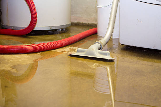 Best Water damage cleanup near me  in Brodhead, KY