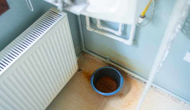 Best Ceiling water damage repair  in Brodhead, KY