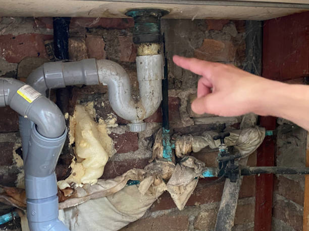 Best Water damage repair service  in Brodhead, KY